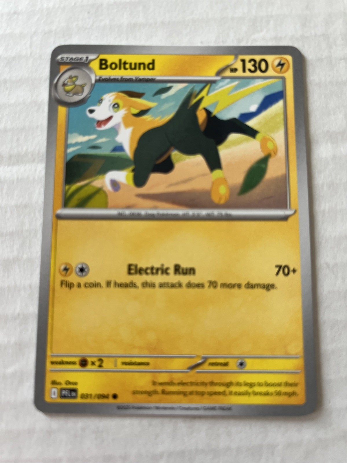 Boltund 031/094 Me02: Phantasmal Flames Regular