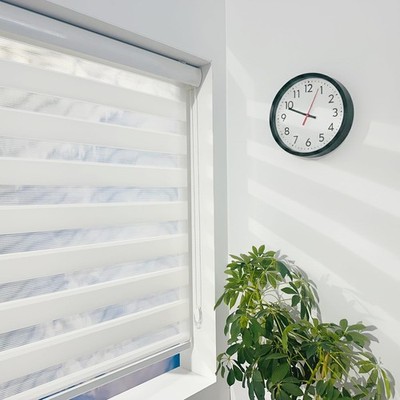Zebra Blinds for Indoor Window Roller, Zebra Shades for Windows  Light Filtering