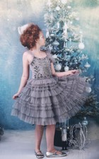 NEW Girls sz 8 Stunning Silver Beaded Tulle Dress Holiday Christmas Birthday