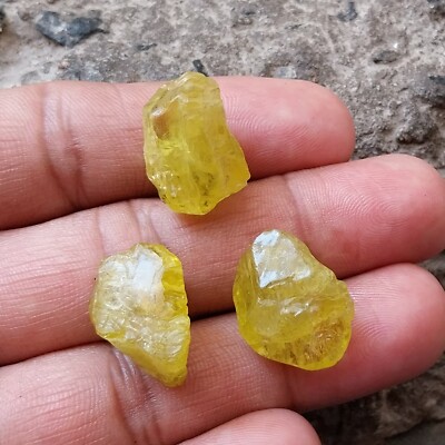 69 Carat 20x13 to 20x16 MM Natural  Yellow Color Apatite Rough Raw 3 Piece Lot