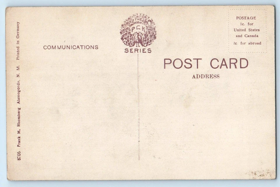 c1910 Alamogordo New Mexico NM Vintage Postcard Alameda Park Lake Swan Forest - Image 2 of 2