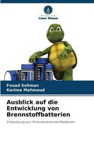Ausblick Auf Die Entwicklung Von Brennstoffbatterien | Fouad Soliman (U. A.)