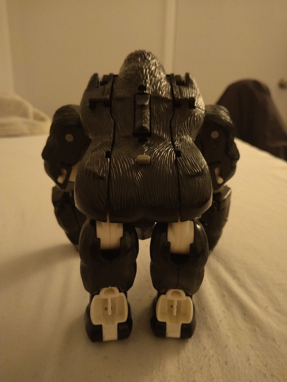Picture 4 of 5