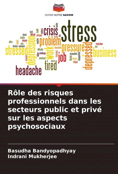 RôLe Des Risques Professionnels Dans Les Secteurs Public Et Privé Sur Les...-image