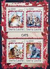 Sierra Leone Cats Stamps 2016 Mnh Cat Pet Animals Fauna Ocicat Norwegian Forest