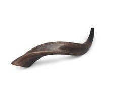 Yemenite Kudu Horn Shofar 17''-19'' KOSHER Made in Jerusalem  From Israel  