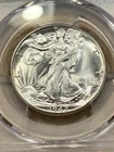 1942-P Walking Liberty Half Dollar Blast White PCGS Graded MS64+ SKU# 35427