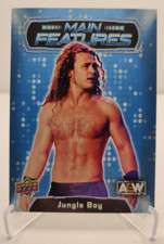 2022 Upper Deck AEW Main Features #MF-22 Jungle Boy wrestling card