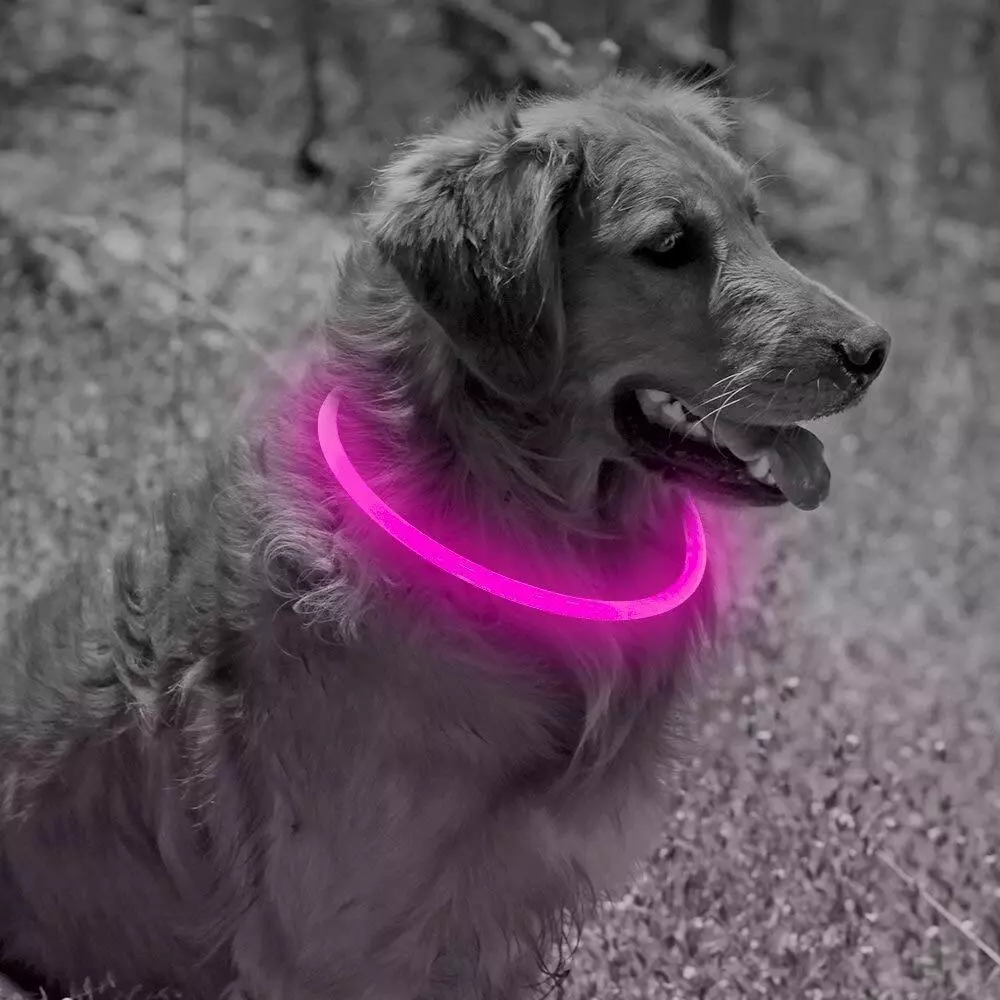 Bseen Collier pour chien LED D coupable R sistant l eau