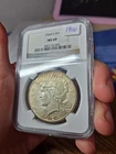 1924 S PEACE DOLLAR  NGC MS60 NGC