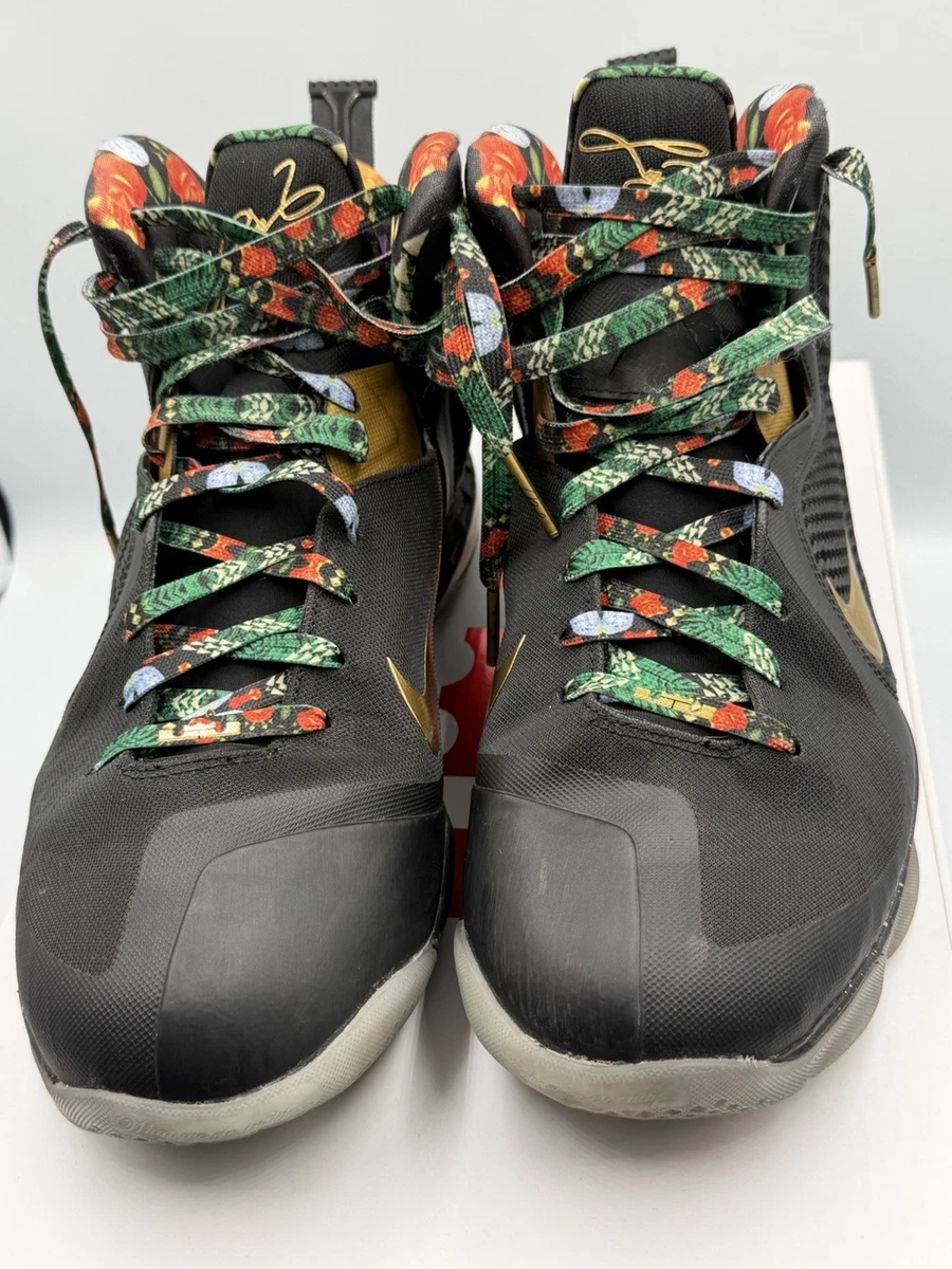 Las mejores ofertas en Nike LeBron 9 2022 Watch The Throne | eBay