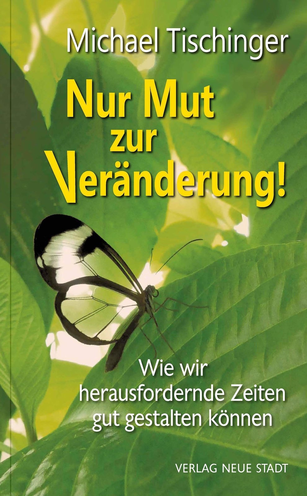 Thumbnail - Nur Mut Zur Veränderung Michael Tischinger