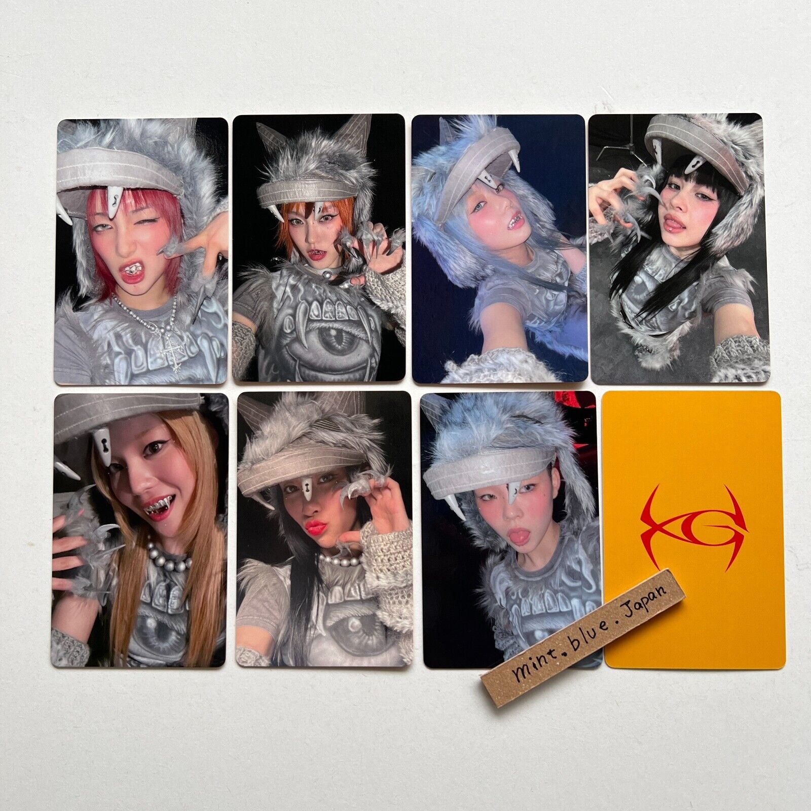 Bild 6 von 8