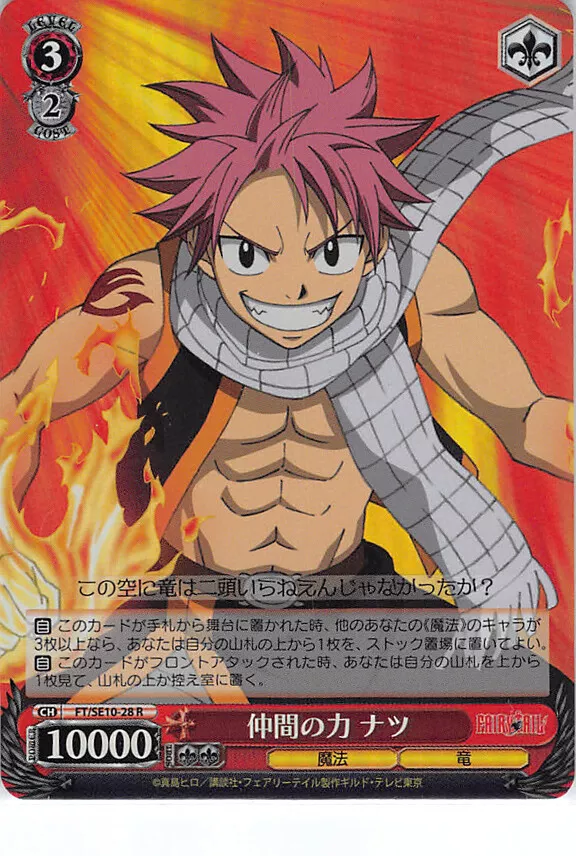 Fairy Tail Natsu Dragneel Name Anime Poster by Anime Art - Fine