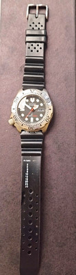 Citizen Promaster Automatik Diver's 200 m Titan, Tag/Datum, Kautschukarmband