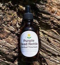 Purple Dead Nettle Tincture, Extract, Allergy Relief, Allergies, DeadNettle