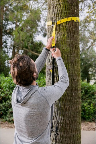 TRX GO Suspension Training System Full-Body Workout for All Levels & Goals Train - Picture 2 of 10