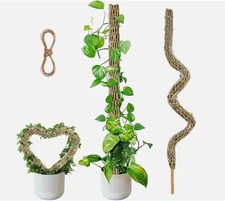 Bendable Moss Pole for Plants Indoor 1 Pack 30 Inch Natural Moss Material Good