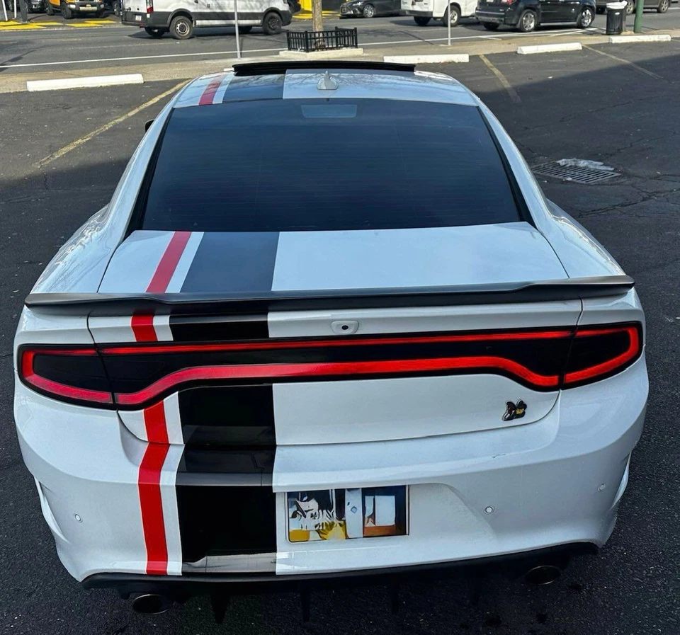 Universal 2color Offset stripes compatible with Charger Challenger Mustang Mini — 第 4/4 张图片