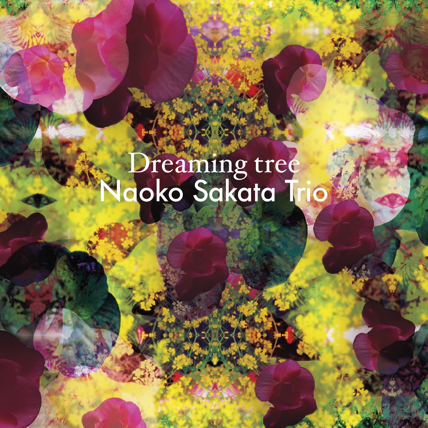 Naoko Sakata Trio Dreaming tree (CD)