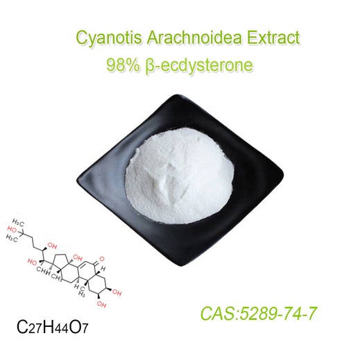 98% Beta-ecdysterone Powder 20-hydroxyecdysone Derived From Cyanotis Arachnoidea - Picture 1 of 1