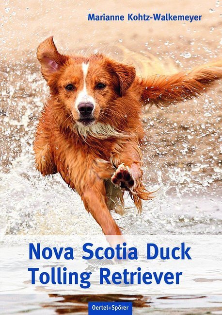 Nova Scotia Duck Tolling Retriever Von Marianne Kohtz-walkemeyer