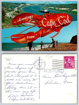 1953 Greetings From Cape Cod MA Lobster Postcard - Buzzards Bay Postmark