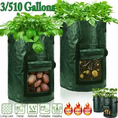 3/5/10 Gallonen Pflanzbeutel Kartoffel Tomaten Gemüse Garten Balkon Pflanzkübel