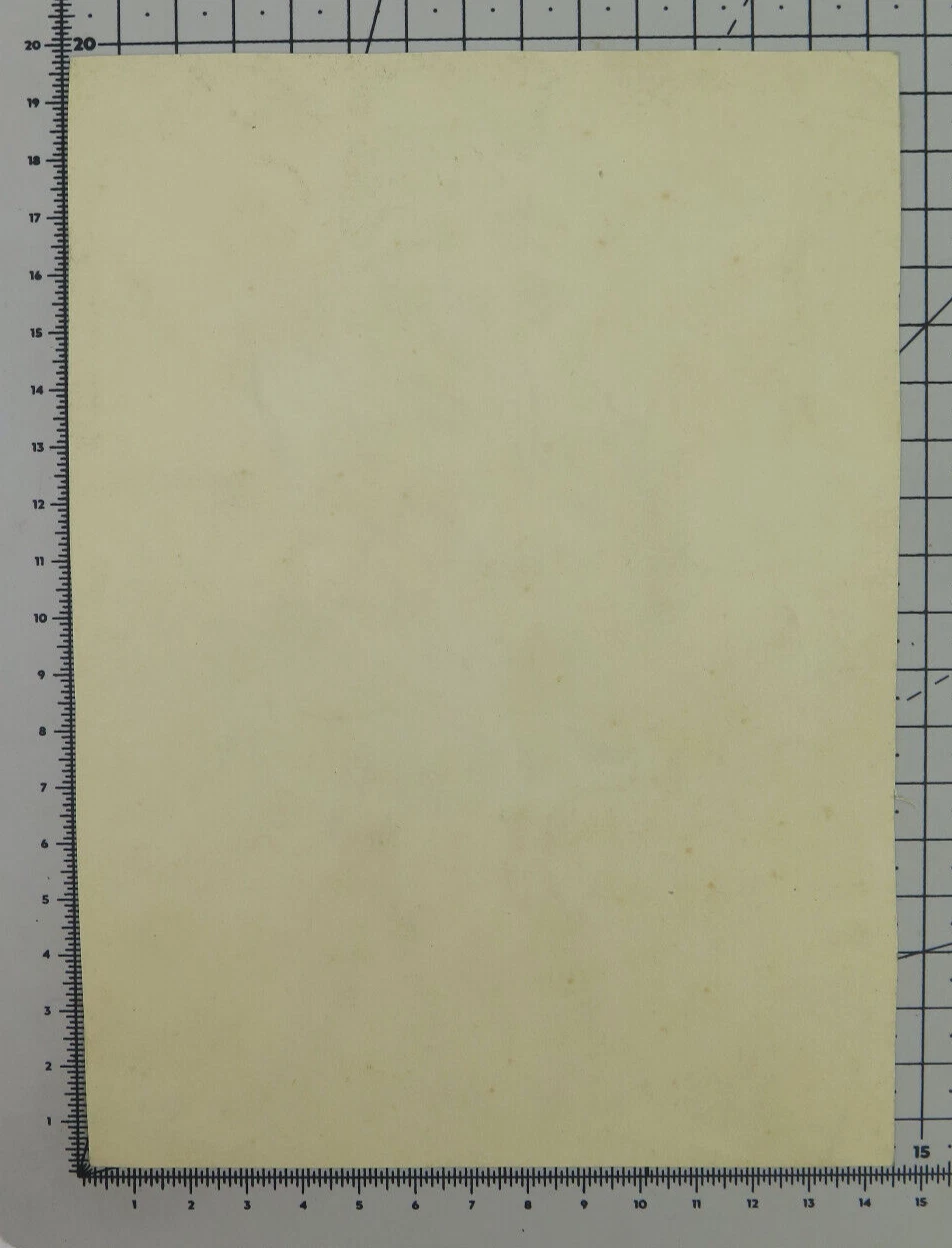 Photo 8/8