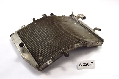 Kawasaki Ninja ZX-10R BJ 2004 - Radiator water cooler A228E | eBay