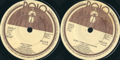 45 RPM Record Liquid Gold - Don't Panic // Don't Panic (Instrumental)