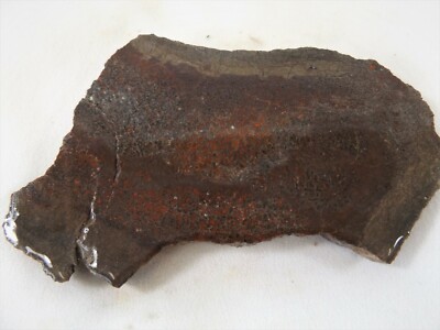 DIG-N-UTAH: SLAB DINOSAUR BONE DINO GEM FOSSIL ROUGH  # J 342