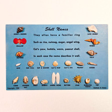 Vintage Shell Names Carman and Casey Unposted...
