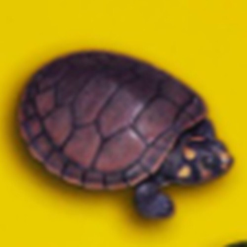 Ocean Free TT-G1 turtle food snapping pellet premium grade floating tablet Large - Picture 24 of 25