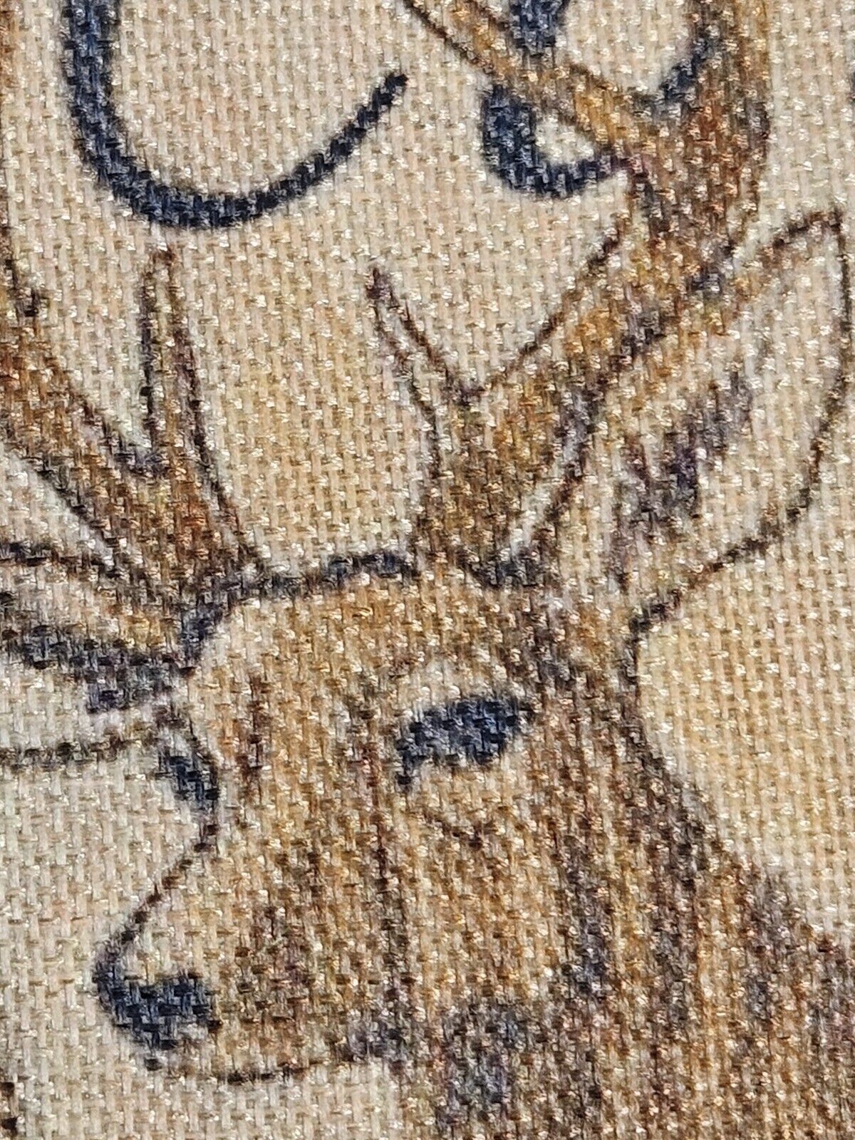 Picture 20 of 23