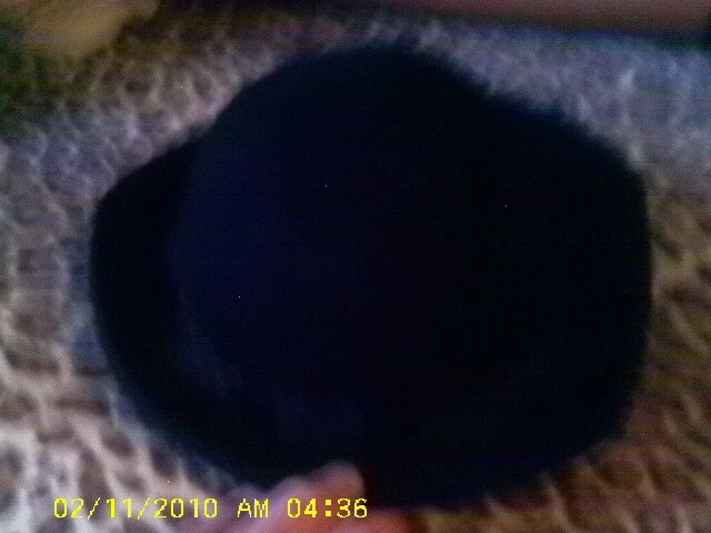 Vintage Michael Howard Miss Bierner 100% Lana NEGRO TUILE MUCHO Fiesta Retro Foto 2 de 4