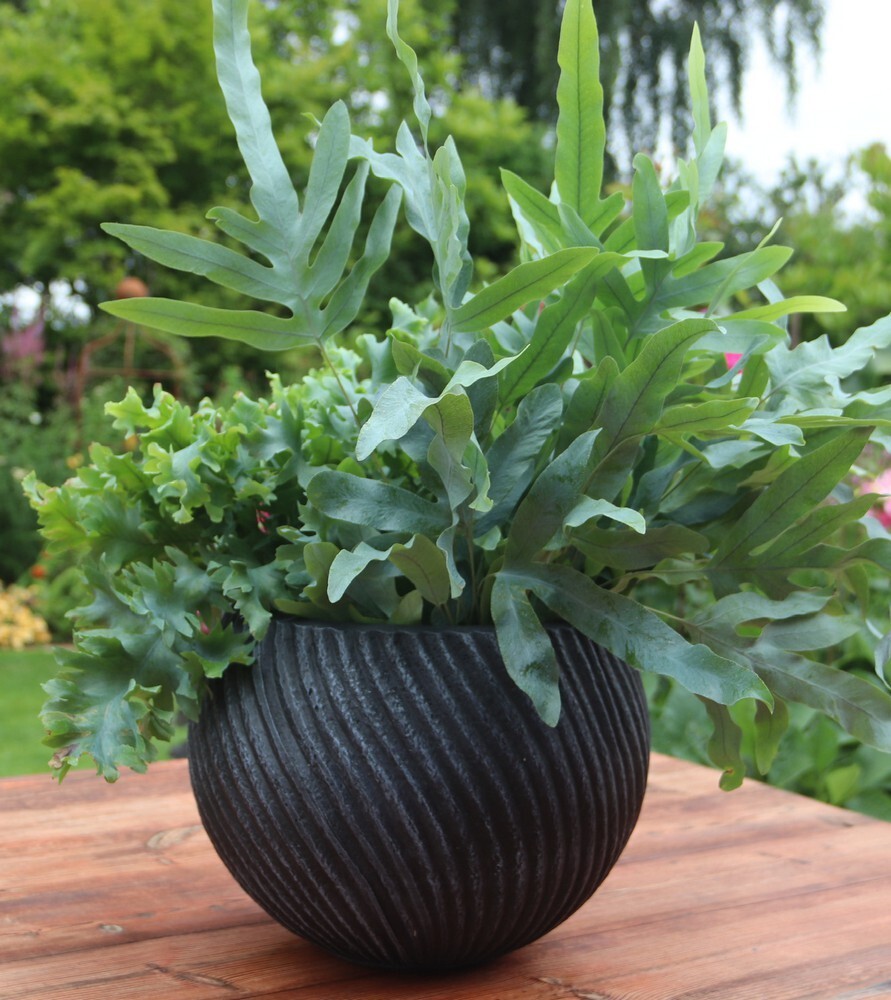 NEIGHBORHOOD SRL DEN-1L/CE-PLANT POT 【公式通販】