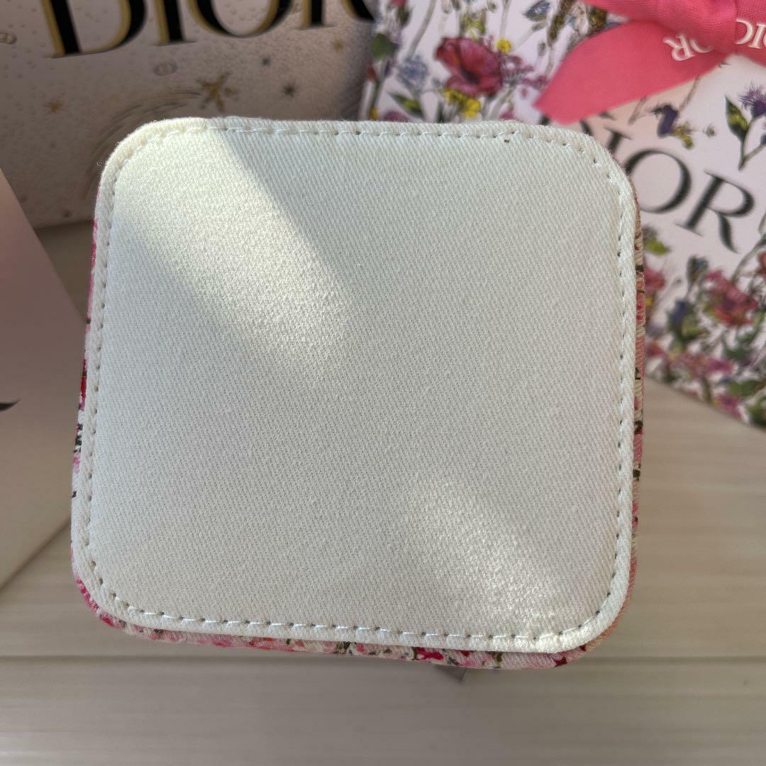 Christian Dior Vanity Pouch Novelty Ladies Unused 2021 Spring