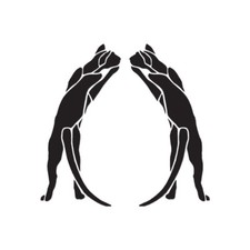 Pair of Cats Playing - Vinyl Decal Sticker - Multiple Color Sizes - ebn815