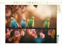 Calvendo Puzzle Bathe In Color, Dream In Silence | 1000 Pieces, Finished Size 25