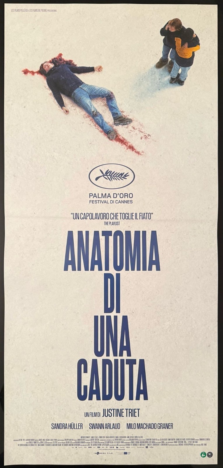 Locandina di Anatomia di una caduta (2023)
