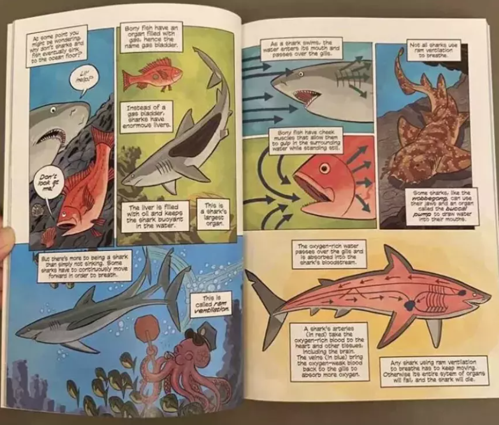 Science Comics : Get to Know Your Universe 28 Books Full Science Comics : Get to Know Your Universe 28 Books Full