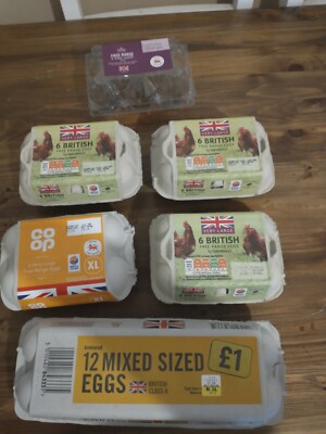 6 X Egg Boxes Various sizes Good Condition seedlings arts and crafts Gardening