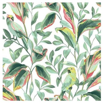 Wallpaper Designer Tropical Green Yellow Red Leaves with Lovebirds  60 sqft bolt