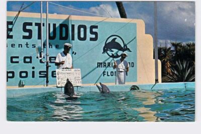 PPC Postcard FL Florida Marineland Marine Studios Florida's Famous Oceanarium Tr