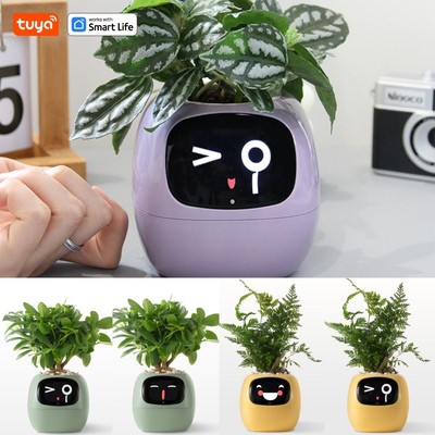 Tuya Ivy Smart Planter   49+ Expressions, 7 Sensors, AI-Controlled