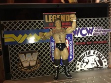 custom WRESTLING LUCHA LIBRE DON MURACO FIGURE