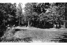 Jump-Off Joe Lake Resort on Lake Washington WA RPPC Real Photo Postcard