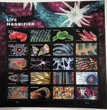 USPS LIFE MAGNIFIED Sheet of 20 FIRST CLASS LETTER STAMPS