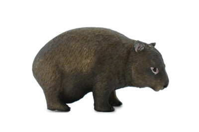 Wombat, Realistic Toy Figure, Model, Replica, Gift, 2 1/2